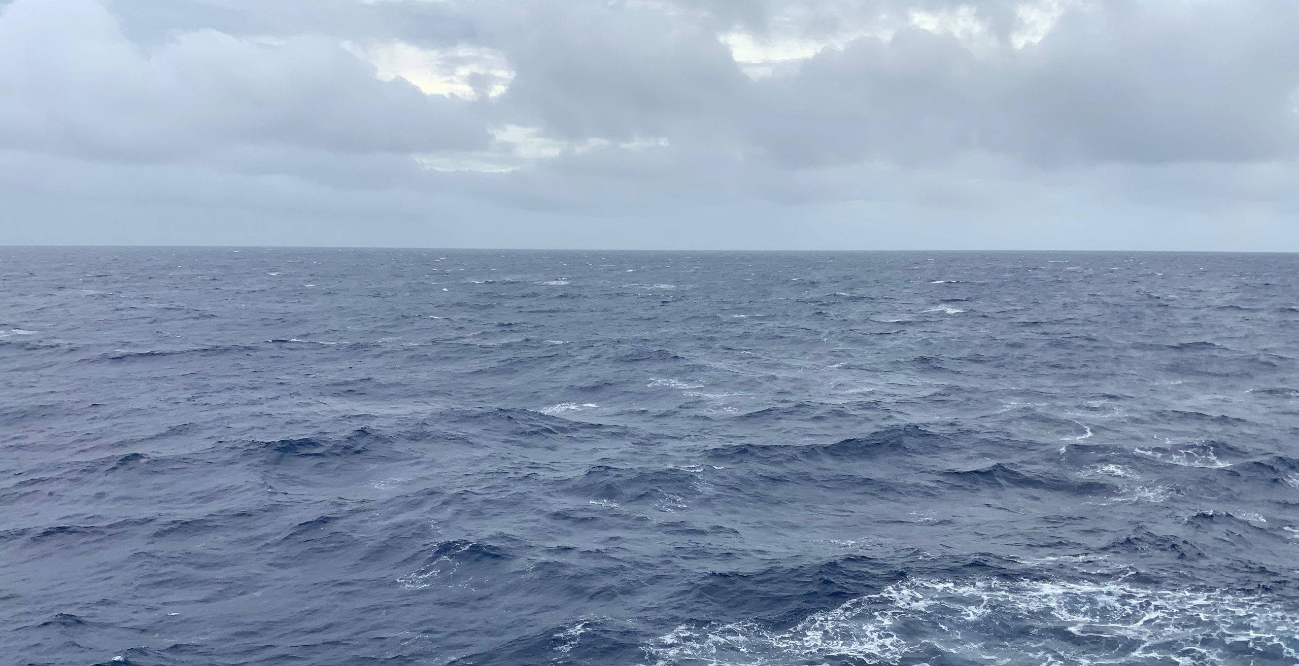 Captain’s Update