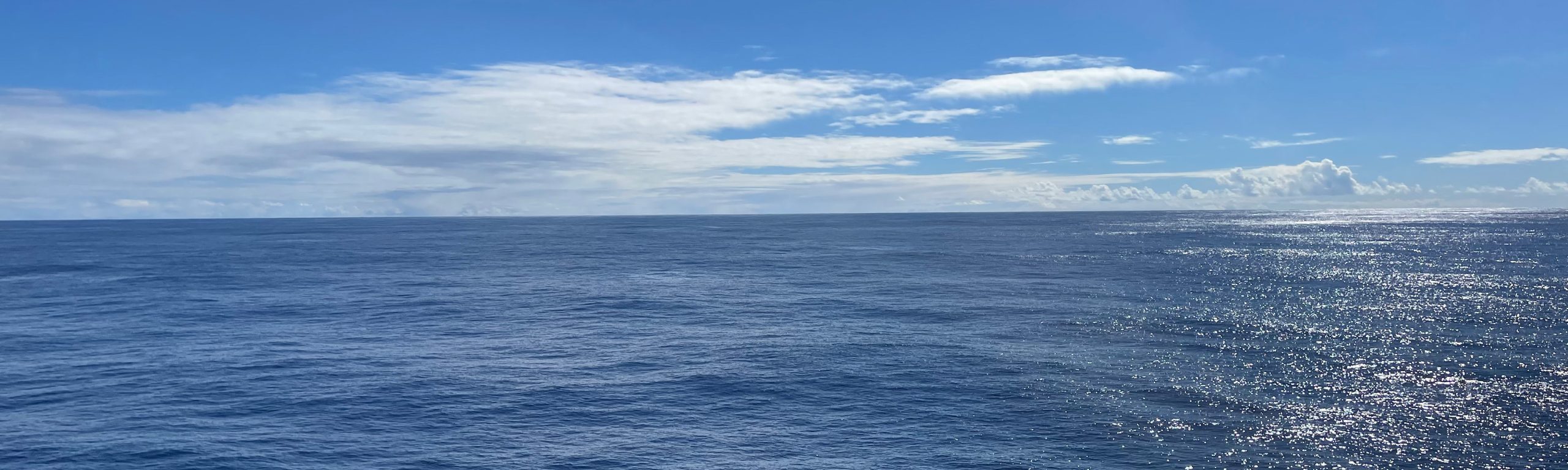 Captains Update – Halfway